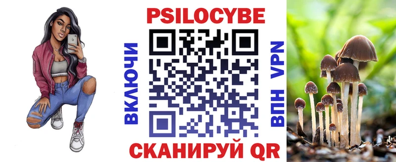 закладки  Рыбное  Галлюциногенные грибы мицелий 